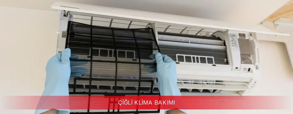 Çiğli İlçemi Viessmann Klima Bakımı